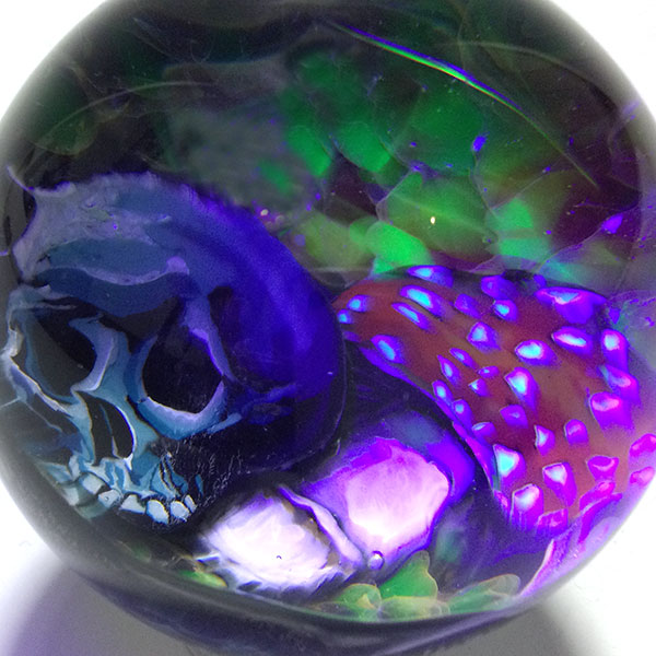 Skull & Mushroom Mib 2" - Image 4